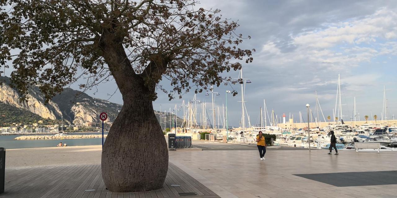 Joli Studio Dans Le Coeur De Menton Dış mekan fotoğraf